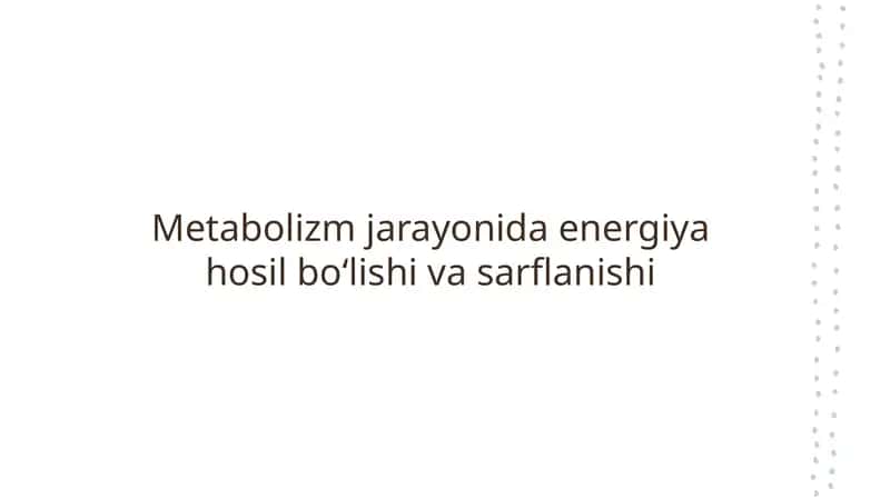 Metabolizm jarayonida energiya hosil bo‘lishi va sarflanishi