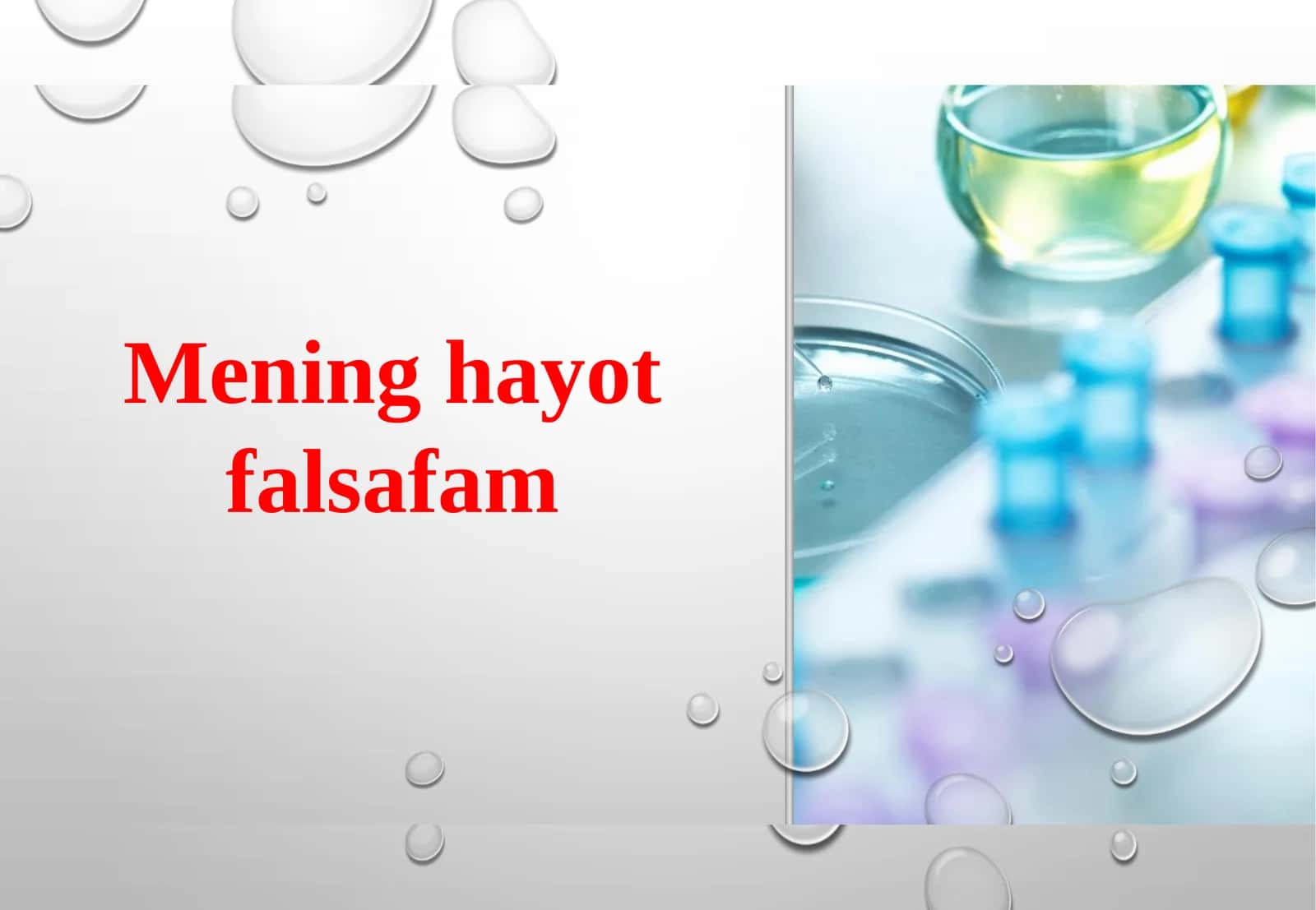 Mening hayot falsafam