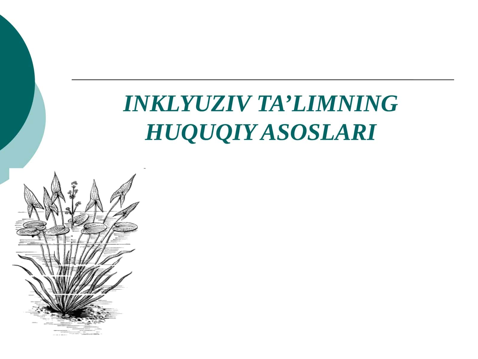INKLYUZIV TA’LIMNING HUQUQIY ASOSLARI