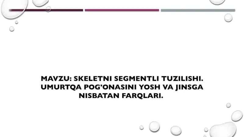Skeletni segmentli tuzilishi. Umurtqa pog'onasini yosh va jinsga nisbatan farqlari.