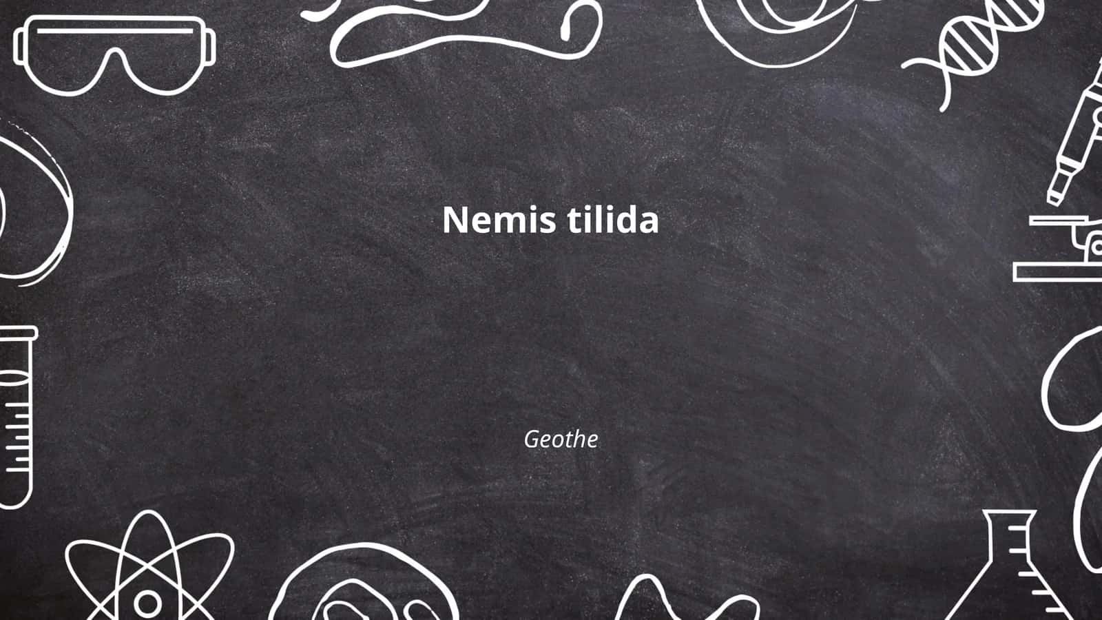 Geothe