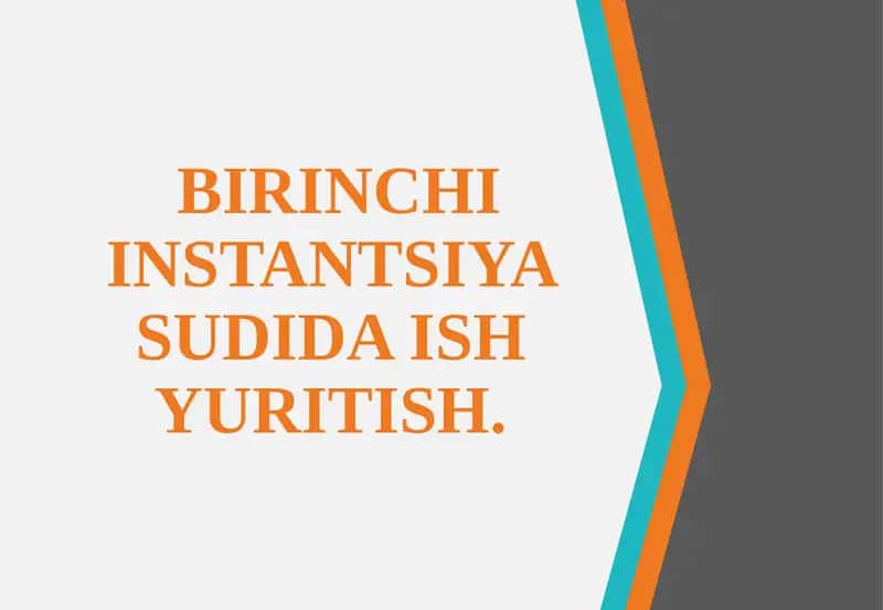 BIRINCHI INSTANTSIYA SUDIDA ISH YURITISH