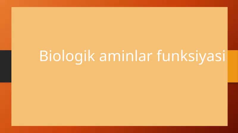 Biologik aminlar funksiyasi